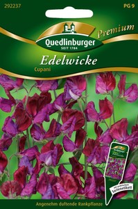 Edelwicken Cupani Edelwicken Cupani