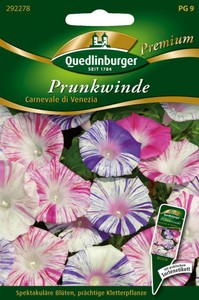 Prunkwinden Carnevale di Vene
