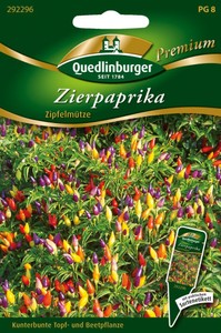 Zierpaprika Zipfelmütze Zierpaprika Zipfelmütze