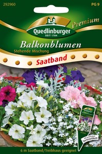 Balkonblumen stehende Mischung
