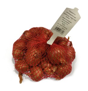 Steckzwiebel Red Sun (500 g)