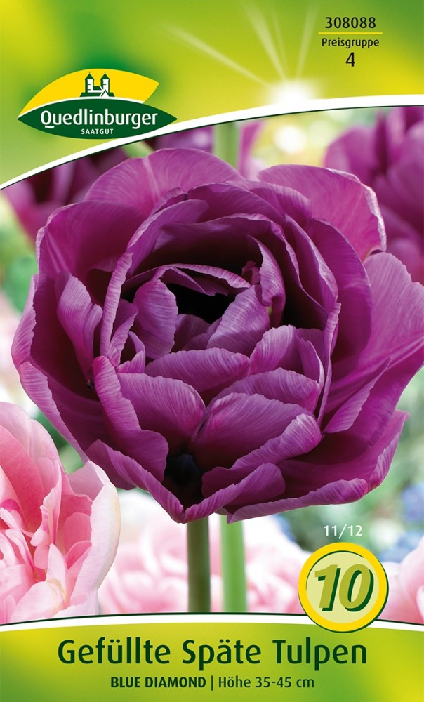 Gefüllte Tulpenzwiebeln White Valley - 5 Stück Winterharte Blumenzwiebeln