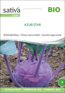BIO Kohlrabi blau Azur Star BIO Kohlrabi blau Azur Star