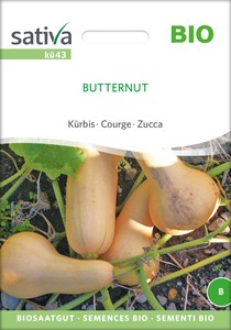 BIO Kürbis Butternut BIO Kürbis Butternut
