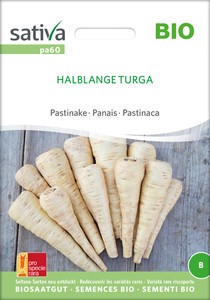 Rote Rübe Formanova | BIO Rübensamen von Sativa Rheinau | Samenhaus ...