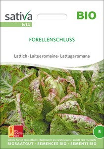 BIO Lattich Forellenschluss