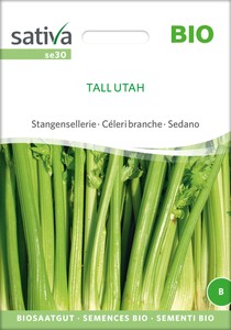 BIO Stangensellerie Tall Utah