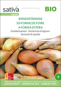 BIO Zwiebelsamen Birnenförmige