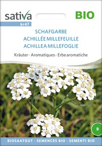 BIO Schafgarbe