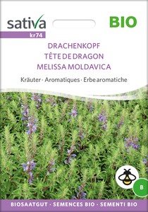 BIO Drachenkopf