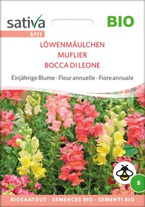 BIO Löwenmäulchen
