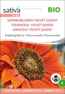 BIO Sonnenblume Velvet Queen