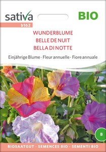 BIO Wunderblume