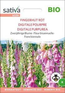 BIO Fingerhut Rot