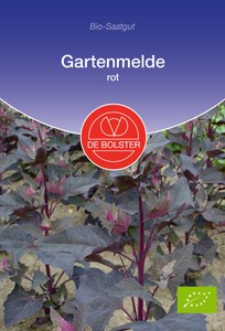 BIO Gartenmelde rot BIO Gartenmelde rot
