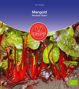 BIO Mangold Rhubarb Chard BIO Mangold Rhubarb Chard