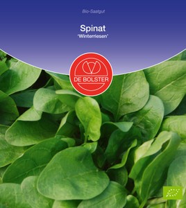 BIO Spinat Winterriesen BIO Spinat Winterriesen
