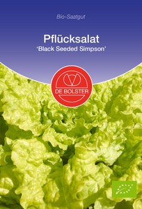 BIO Pflücksalat Black Seeded Simpson BIO Pflücksalat Black Seeded Simpson