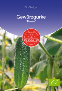 BIO Gewürzgurke Hokus BIO Gewürzgurke Hokus