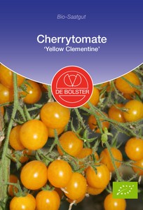 BIO Cherrytomate Yellow Clementine BIO Cherrytomate Yellow Clementine