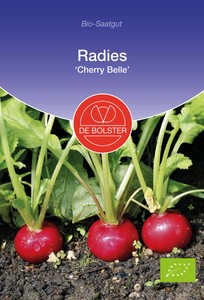 BIO Radies Cherry Belle BIO Radies Cherry Belle