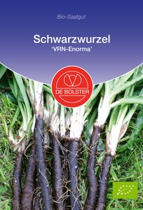 BIO Schwarzwurzel VRN - Enorma