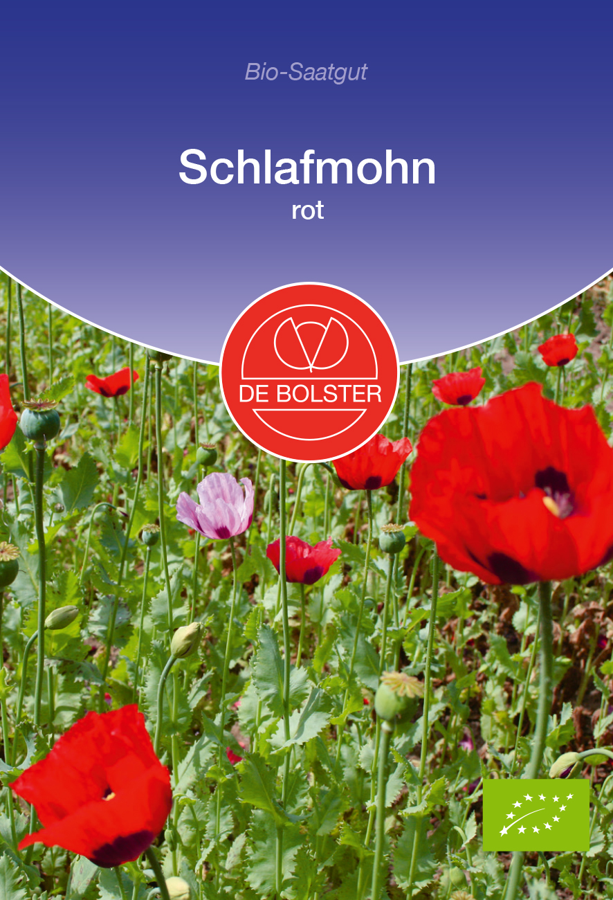 Schlafmohn rot | BIO Mohnsamen von De Bolster | Samenhaus Samen & Sämereien