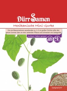 Mexikanische Mini-Gurke