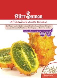 Horngurke Afrikanische Gurke Kiwano