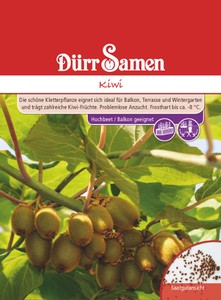 Kiwi