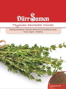 Thymian deutscher Winter