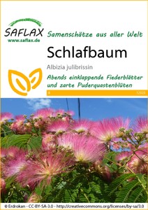 Schlafbaum