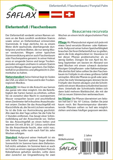 Elefantenfu / Flaschenbaum | Exotische Samen von Saflax