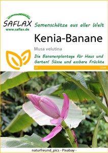 Kenia-Banane