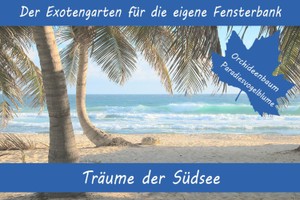 Anzuchtset Träume der Südsee