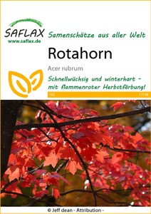 Rotahorn Rotahorn