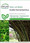 Großer Dornenbambus