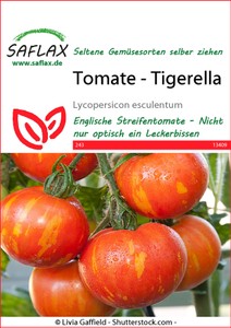 Tomate Tigerella