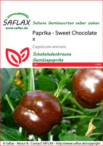 Paprika Sweet Chocolate x Paprika Sweet Chocolate x
