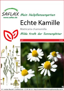 Echte Kamille