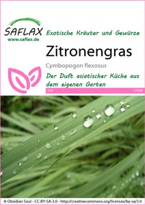 Zitronengras