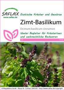 Zimt-Basilikum