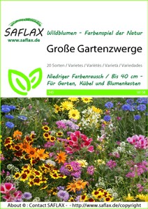Blumenwiese Große Gartenzwerge Blumenwiese Große Gartenzwerge