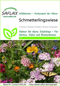 Blumenwiese Schmetterlingswiese