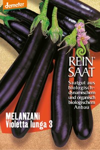 BIO Aubergine Violetta Lunga 3