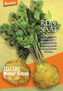 BIO Knollensellerie Wiener Riesen