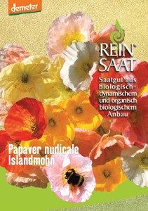 BIO Islandmohn