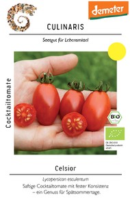 BIO Cocktailtomate Celsior BIO Cocktailtomate Celsior