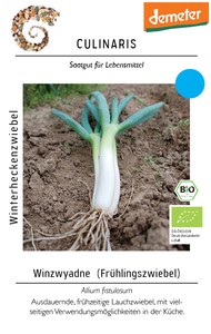BIO Winterheckenzwiebel (Frühlingszwiebel) BIO Winterheckenzwiebel (Frühlingszwiebel)