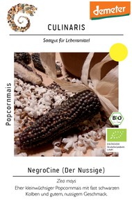 BIO Popcornmais NegroCine